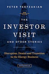 The Investor Visit and Other Stories: Disruption, Denial and Transition in the Energy Business