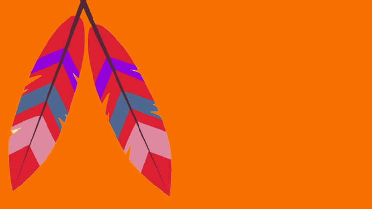 Image of feathers, representative of National Day for Truth and Reconciliation